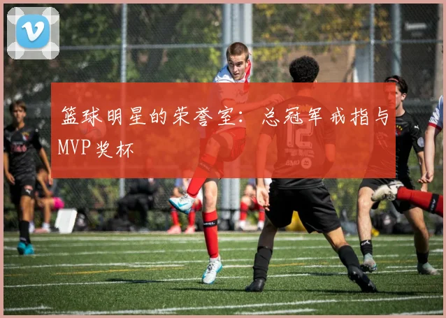 篮球明星的荣誉室：总冠军戒指与MVP奖杯
